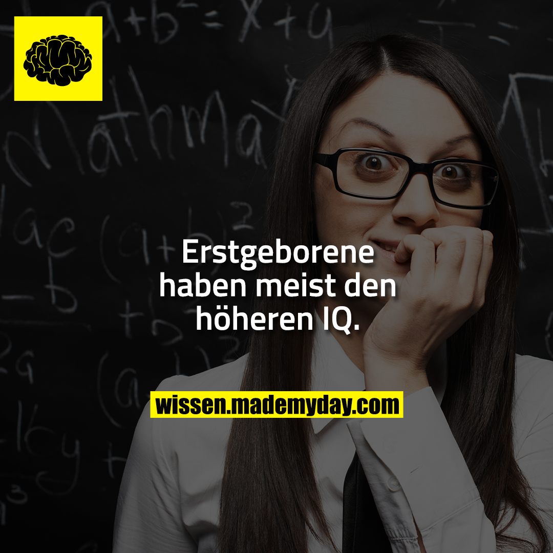 Erstgeborene haben meist den höheren IQ.