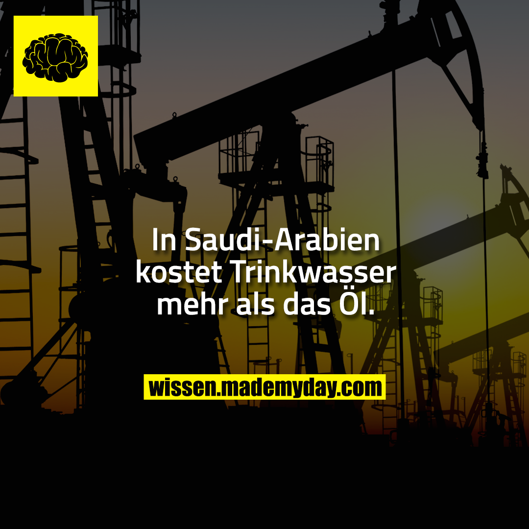 In Saudi Arabien Kostet Trinkwasser Mehr Made My Day