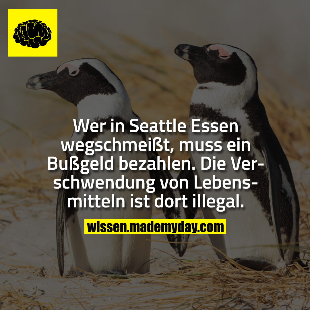 Wer in Seattle Essen wegschmeißt, muss ein Bußgeld bezahlen. Die Verschwendung von Lebensmitteln ist dort illegal.