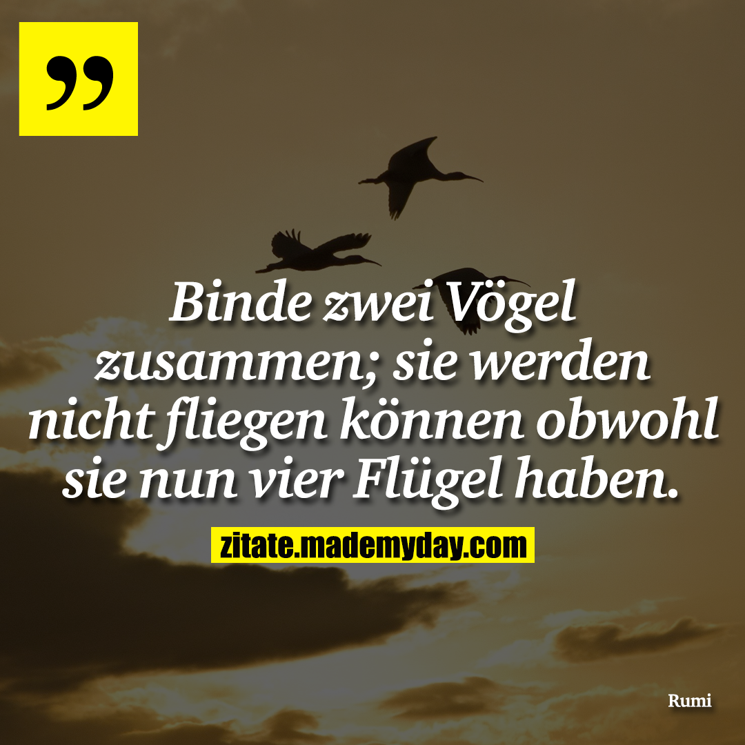 Binde zwei Vögel zusammen; sie werden nicht fliegen können obwohl sie nun vier Flügel haben.