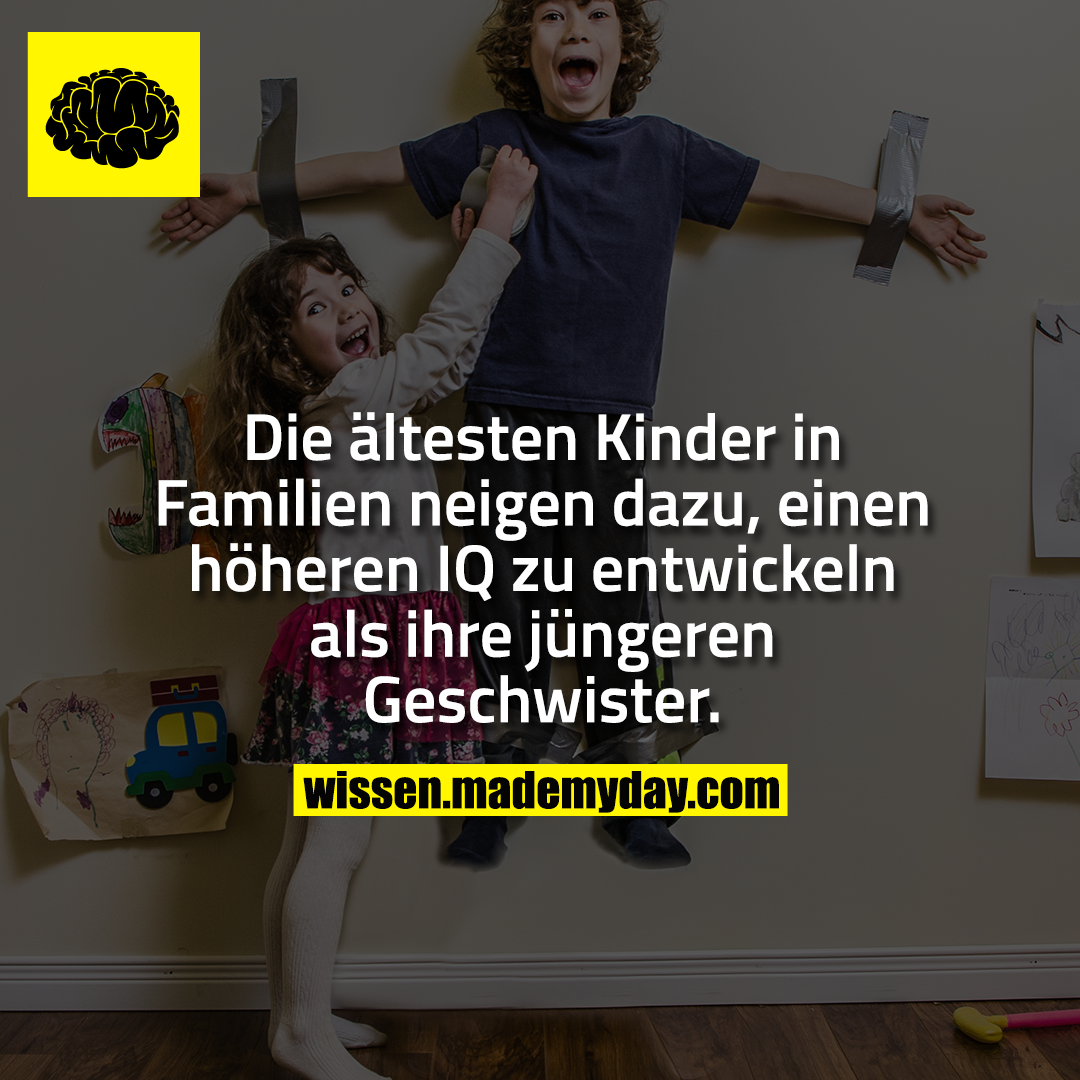 Die ältesten Kinder in Familien neigen dazu, einen höheren IQ zu entwickeln als ihre jüngeren Geschwister.