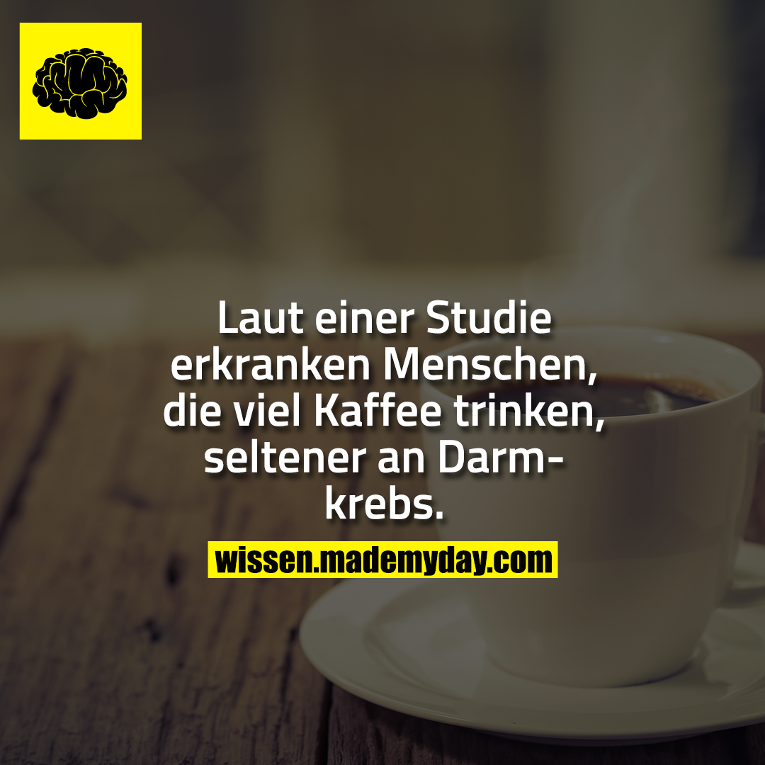 Laut einer Studie erkranken Menschen, die viel Kaffee trinken, seltener an Darmkrebs.
