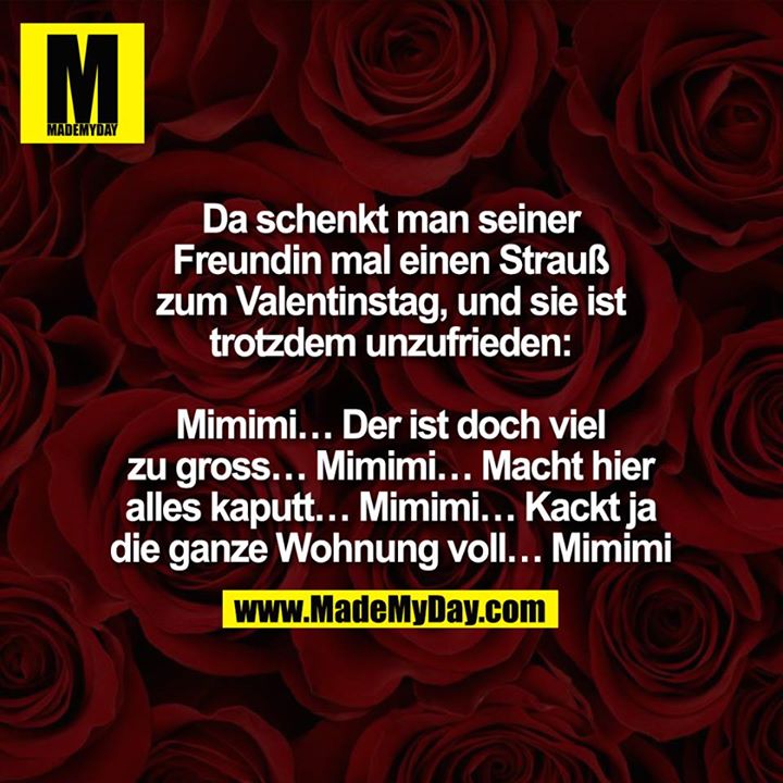 Da schenkt man seiner Freundin mal einen Strauß zum Valentinstag, und sie ist trotzdem unzufrieden:<br />
<br />
Mimimi… Der ist doch viel zu gross… Mimimi… Macht hier alles kaputt… Mimimi… Kackt ja die ganze Wohnung voll… Mimimi