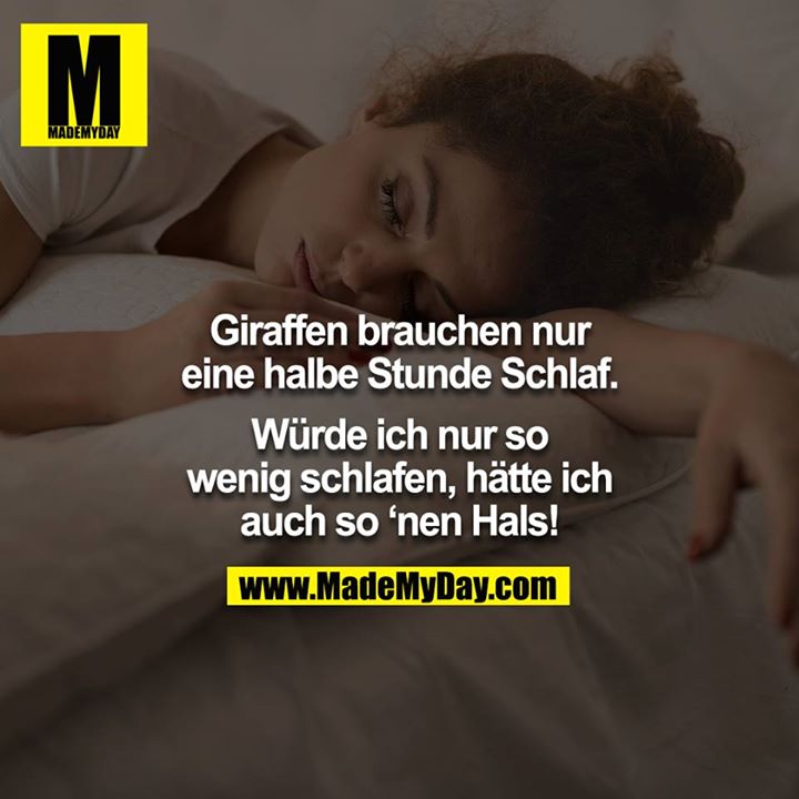 Giraffen brauchen nur eine halbe Stunde Schlaf.<br />
Würde ich nur so wenig schlafen, hätte ich auch so ‘nen Hals!