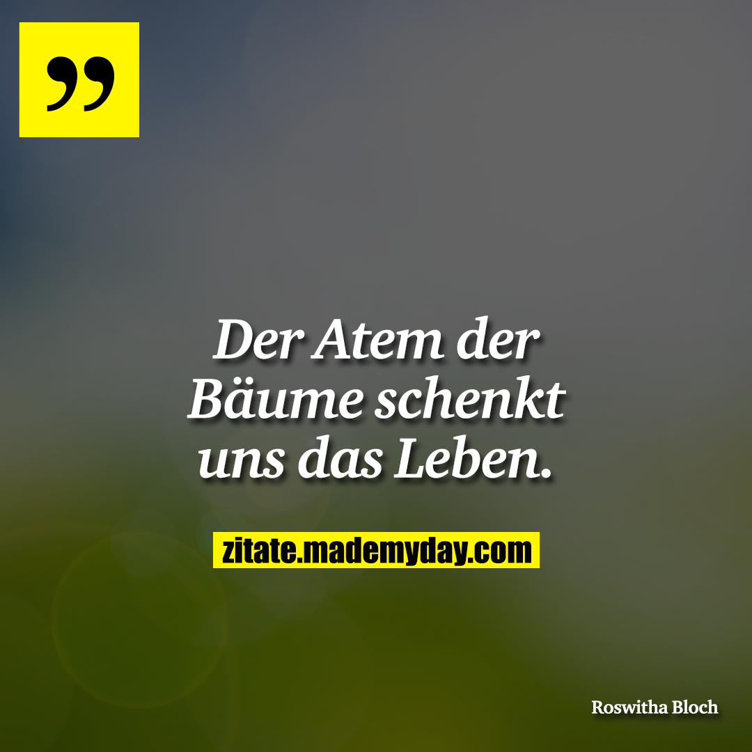 Der Atem der Bäume schenkt uns das Leben.