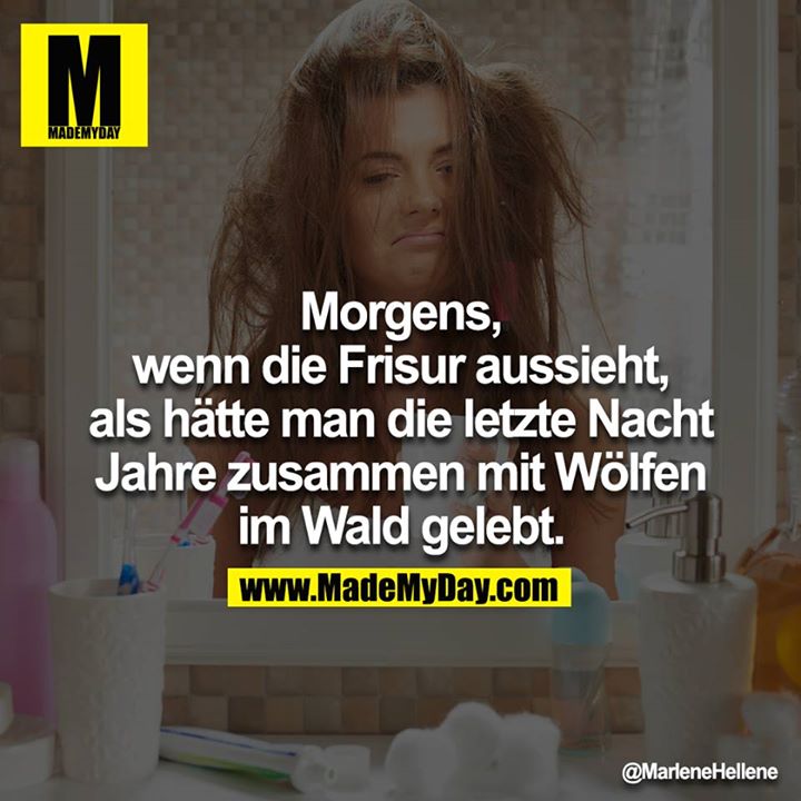 Morgens, wenn die Frisur aussieht, als hätte man die letzte Nacht<br />
Jahre zusammen mit Wölfen im Wald gelebt.