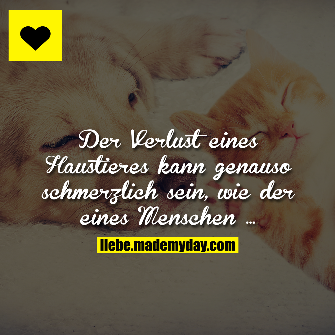 Der Verlust eines Haustieres kann genauso schmerzlich sein, wie der eines Menschen ...