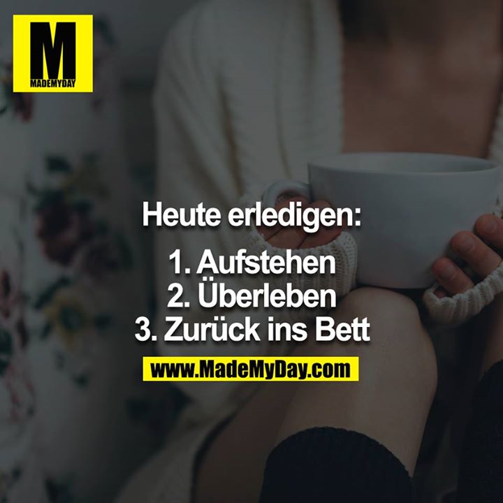 Heute erledigen:<br />
<br />
1. Aufstehen<br />
2. Überleben<br />
3. Zurück ins Bett