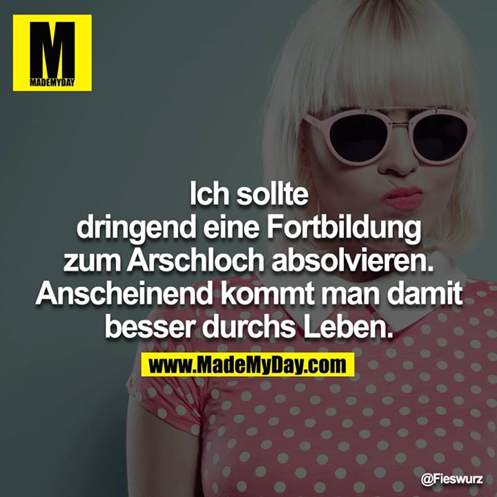 Ich sollte dringend eine Fortbildung zum Arschloch absolvieren. Anscheinend kommt man damit besser durchs Leben.