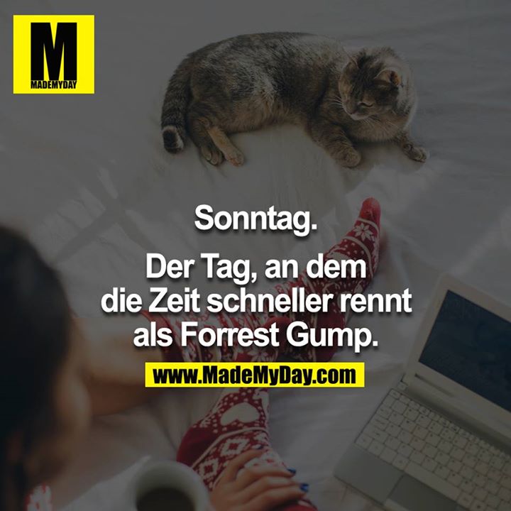 Sonntag.<br />
<br />
Der Tag, an dem die Zeit schneller rennt als Forrest Gump.