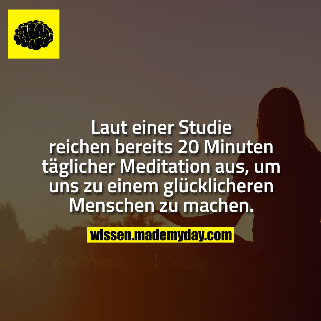Laut einer Studie reichen bereits 20 Minuten täglicher Meditation aus, um uns zu einem glücklicheren Menschen zu machen.