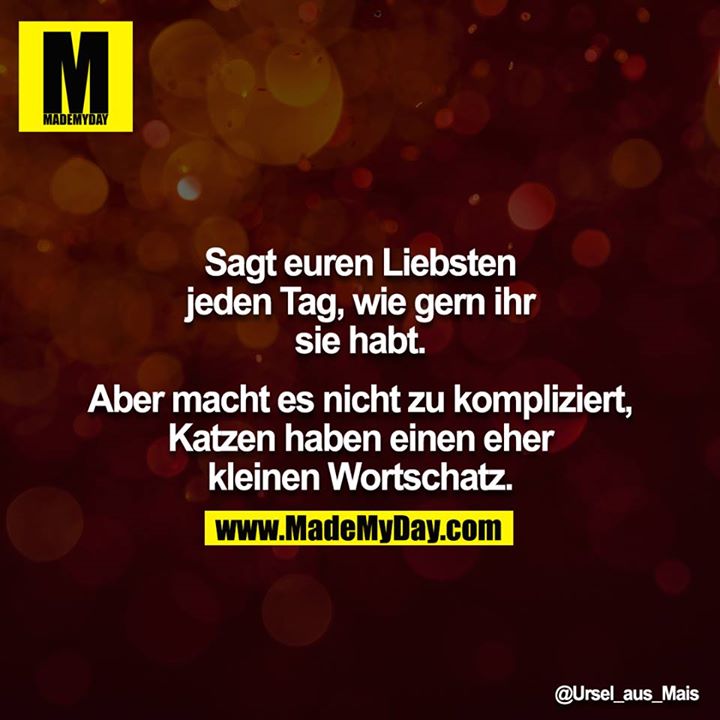 Sagt euren Liebsten jeden Tag, wie gern ihr sie habt.<br />
<br />
Aber macht es nicht zu kompliziert, Katzen haben einen eher kleinen Wortschatz.