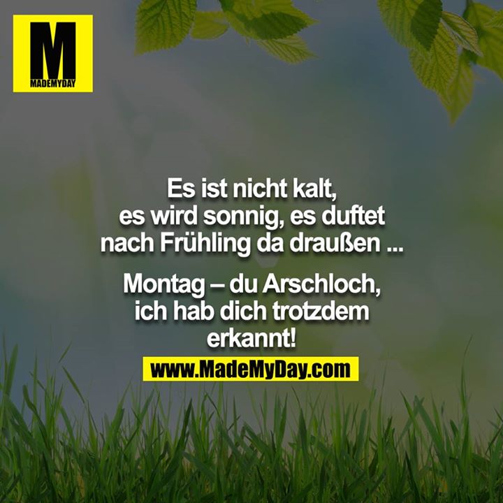Es ist nicht kalt, es wird sonnig, es duftet nach Frühling da draußen ...<br />
<br />
Montag – du Arschloch, ich hab dich trotzdem erkannt!