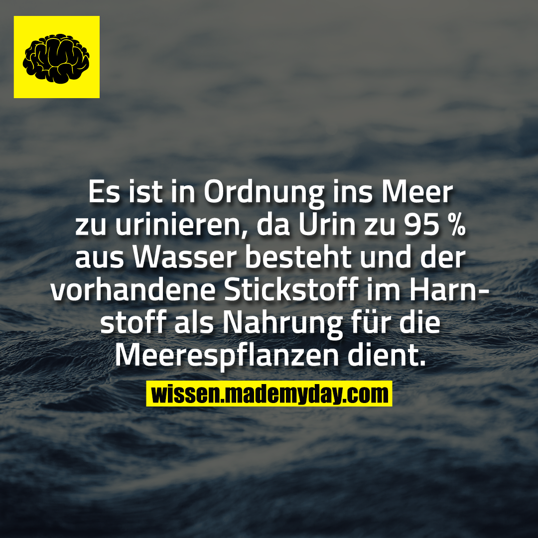 Es ist in Ordnung ins Meer zu urinieren, da Urin zu 95 % aus Wasser besteht und der vorhandene Stickstoff im Harnstoff als Nahrung für die Meerespflanzen dient.