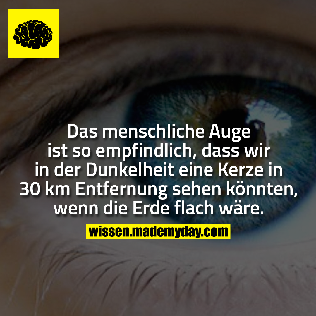 Das menschliche Auge ist so empfindlich, dass wir in der Dunkelheit eine Kerze in 30 km Entfernung sehen könnten, wenn die Erde flach wäre.