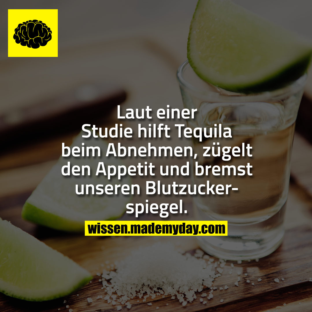 Laut einer Studie hilft Tequila beim Abnehmen, zügelt den Appetit und bremst unseren Blutzuckerspiegel.