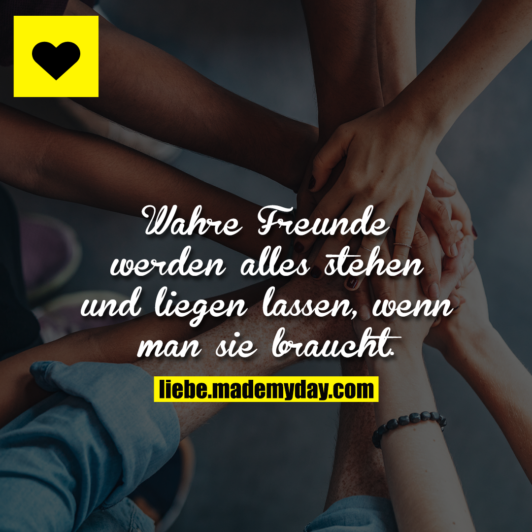 Wahre Freunde werden alles stehen und liegen lassen, wenn man sie braucht.