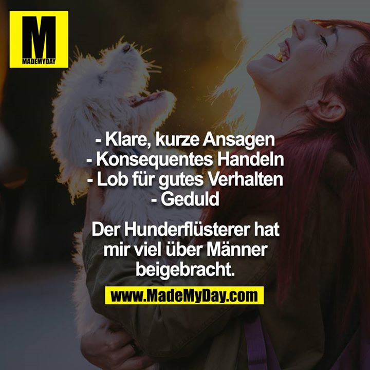 - Klare, kurze Ansagen<br />
- Konsequentes Handeln<br />
- Lob für gutes Verhalten<br />
- Geduld<br />
<br />
Der Hunderflüsterer hat mir viel über Männer beigebracht.