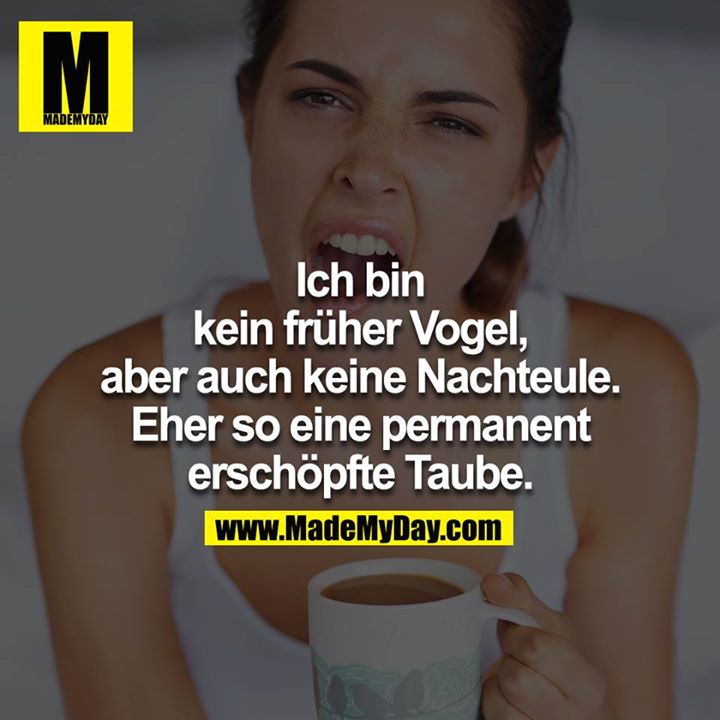 Ich bin kein früher Vogel, aber auch keine Nachteule.<br />
Eher so eine permanent erschöpfte Taube.