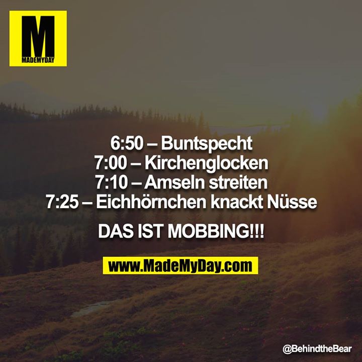 6:50 – Buntspecht<br />
7:00 – Kirchenglocken<br />
7:10 – Amseln streiten<br />
7:25 – Eichhörnchen knackt Nüsse<br />
<br />
DAS IST MOBBING!!!