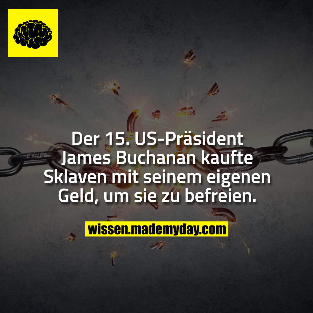 Der 15. US-Präsident James Buchanan kaufte Sklaven mit seinem eigenen Geld, um sie zu befreien.