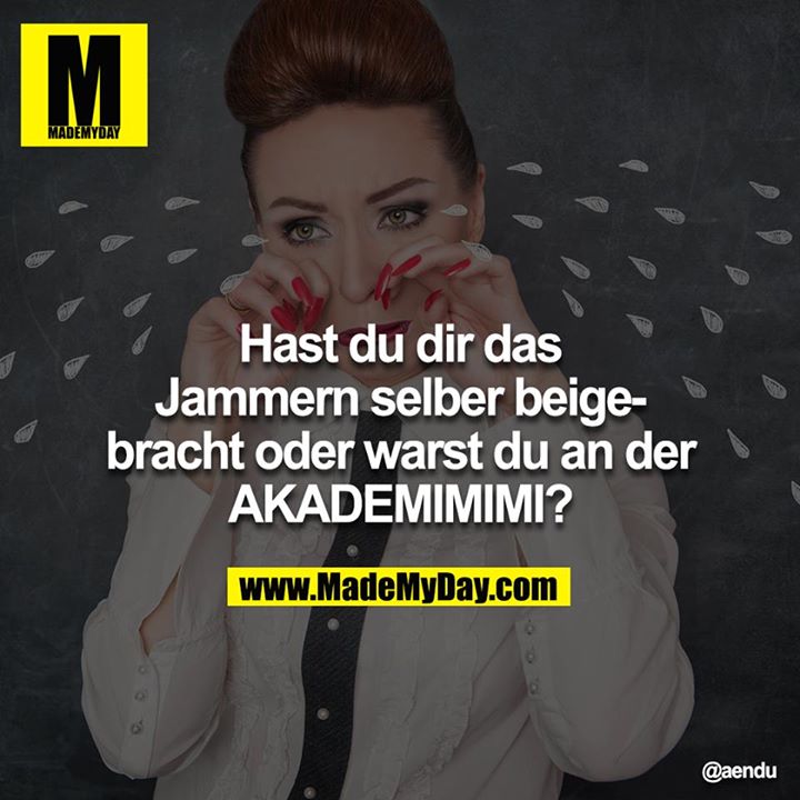 Hast du dir das Jammern selber beigebracht oder warst du an der <br />
AKADEMIMIMI?