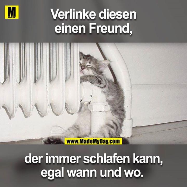 Verlinke diesen einen Freund, der immer schlafen kann, egal wo und wann.