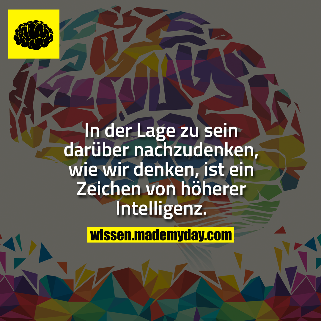 In der Lage zu sein darüber nachzudenken, wie wir denken, ist ein Zeichen von höherer Intelligenz.