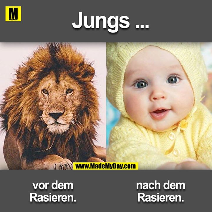 Jungs ...<br />
<br />
vor dem Rasieren.<br />
nach dem Rasieren.