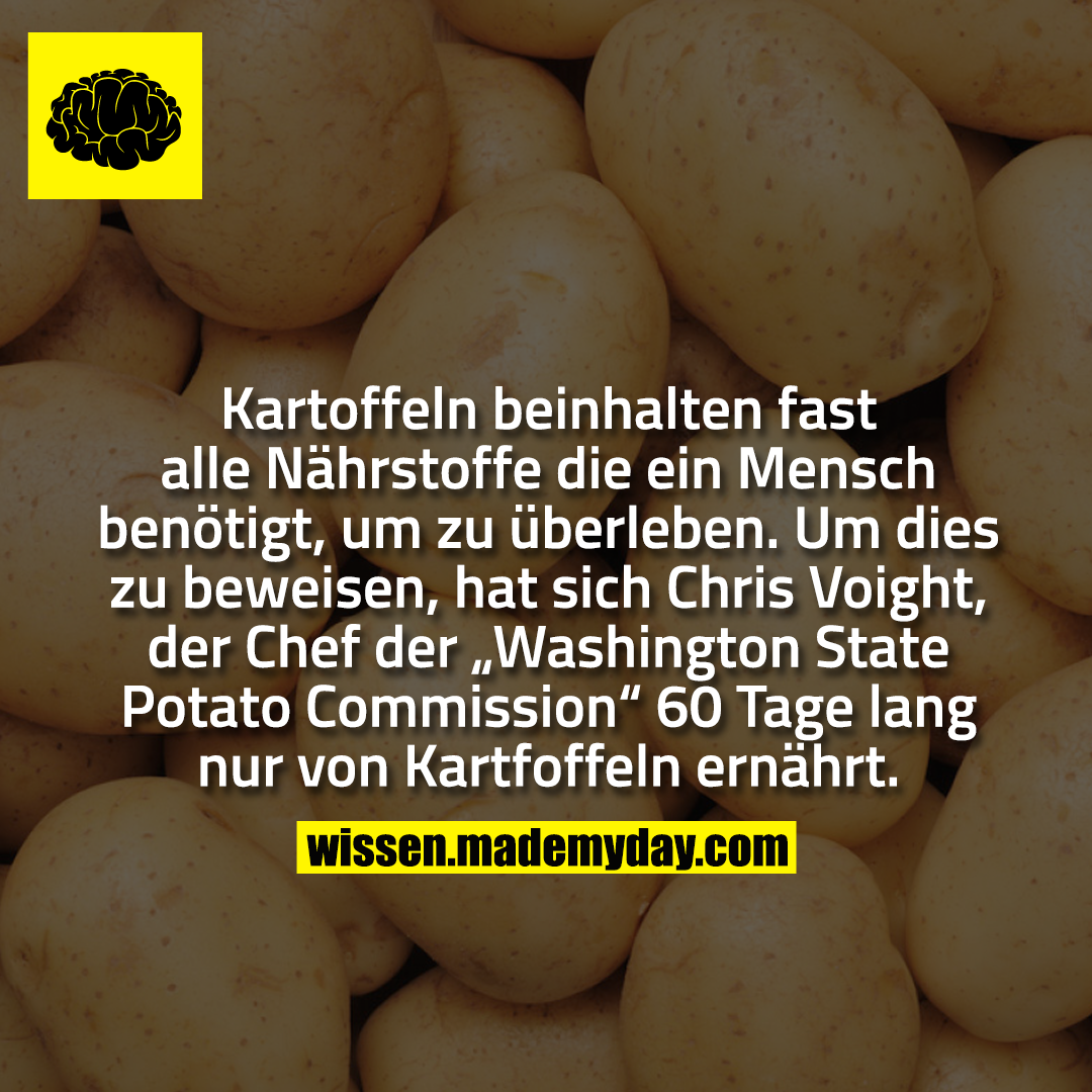 Kartoffeln beinhalten fast alle Nährstoffe die ein Mensch benötigt, um zu überleben. Um dies zu beweisen, hat sich Chris Voight, der Chef der „Washington State Potato Commission“ 60 Tage lang nur von Kartfoffeln ernährt.
