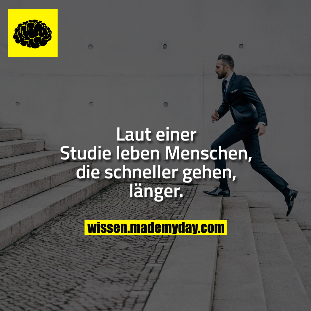Laut einer Studie leben Menschen, die schneller gehen, länger.