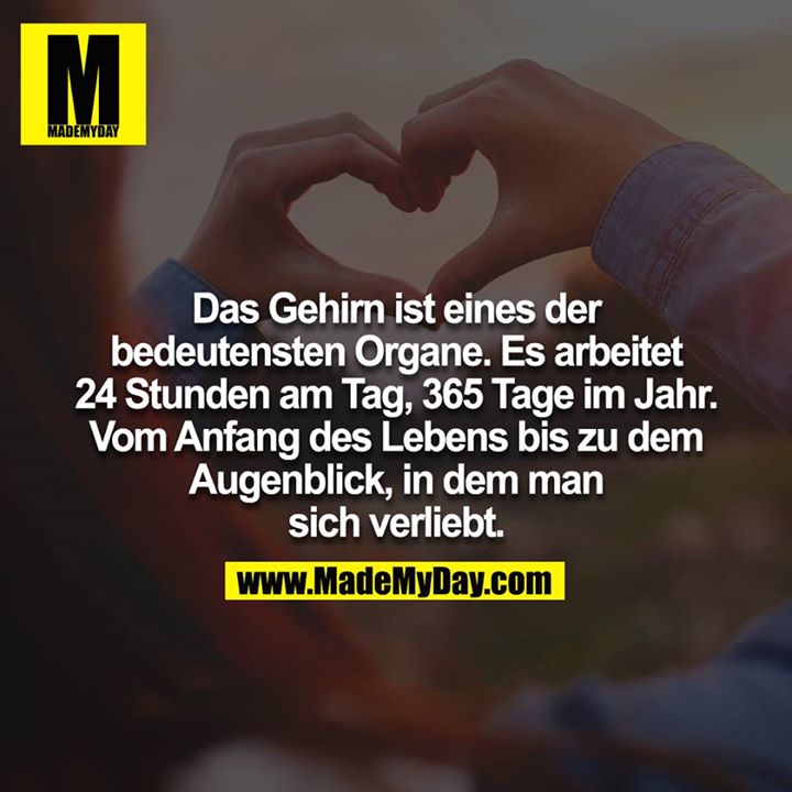 Das Gehirn ist eines der ... - Made My Day