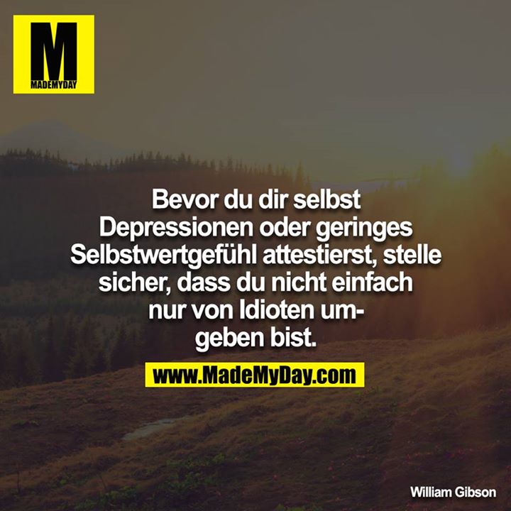 Bevor du dir selbst Depressionen oder geringes Selbstwertgefühl attestierst, stelle sicher, dass du nicht einfach nur von Idioten umgeben bist.