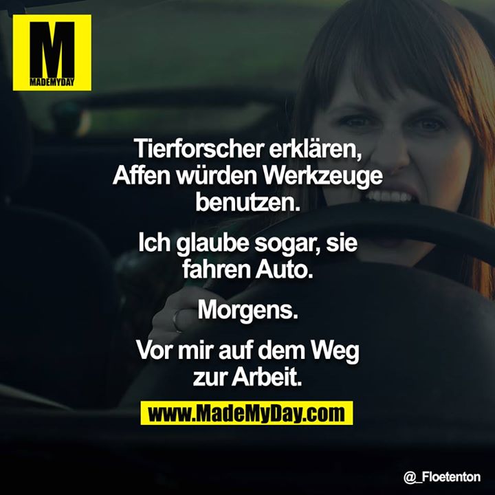 Tierforscher erklären, Affen würden Werkzeuge benutzen. Ich glaube sogar, sie fahren Auto. Morgens. Vor mir auf dem Weg zur Arbeit.