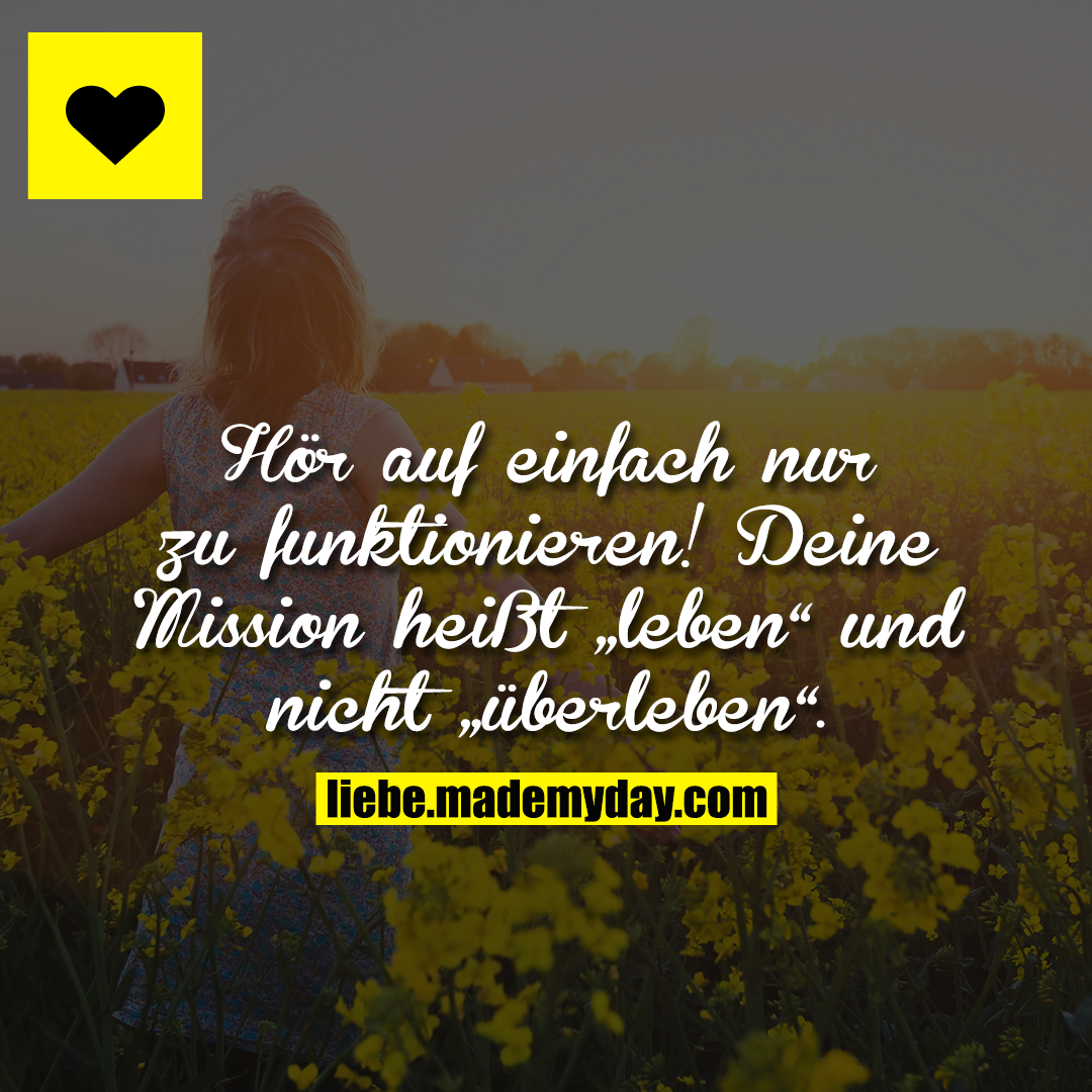 Hör auf einfach nur zu funktionieren! Deine Mission heißt „leben“ und nicht „überleben“.