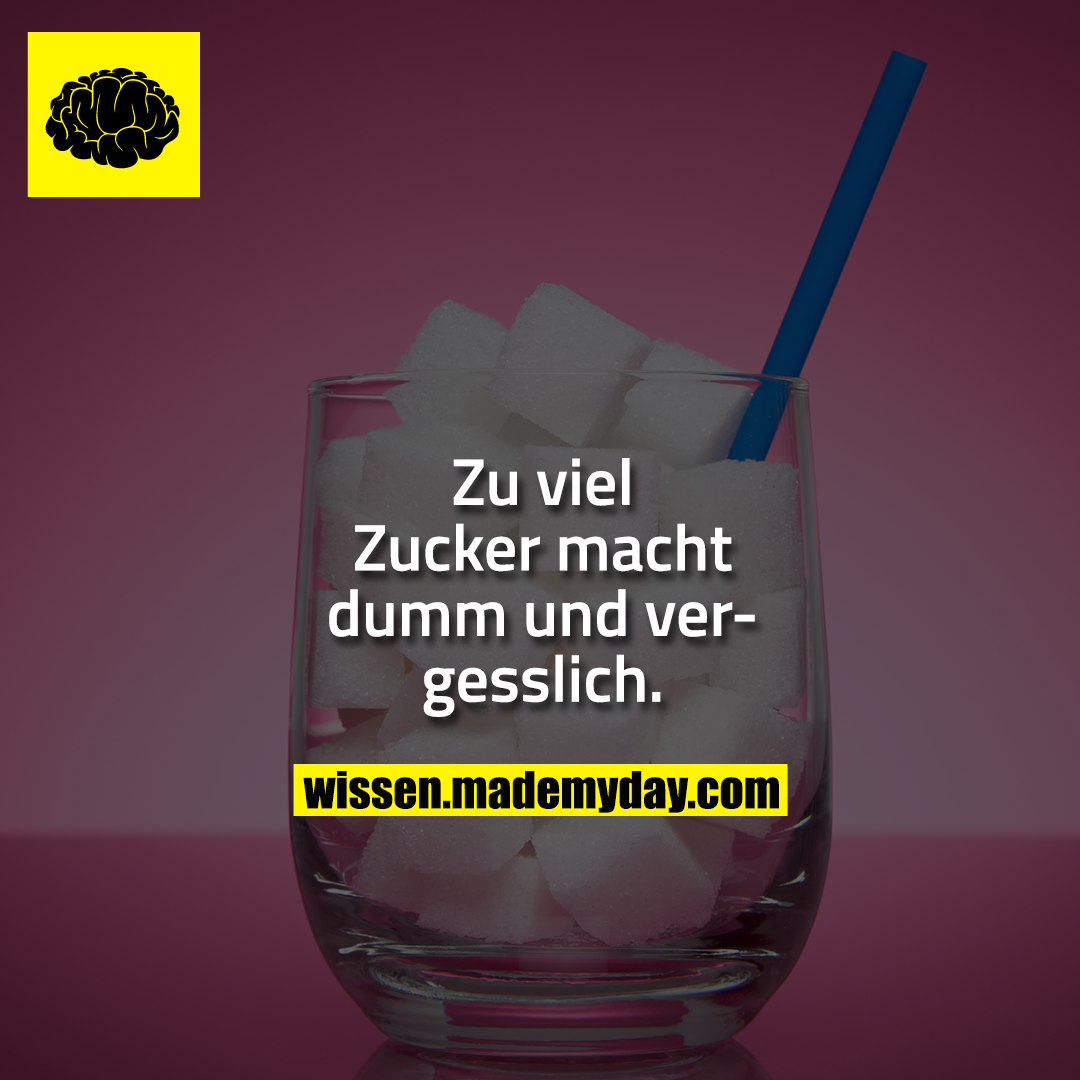 Zu viel Zucker macht dumm und vergesslich.