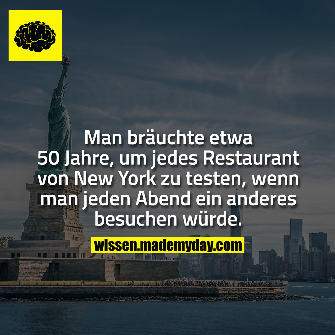 Man bräuchte etwa 50 Jahre, um jedes Restaurant von New York zu testen, wenn man jeden Abend ein anderes besuchen würde.