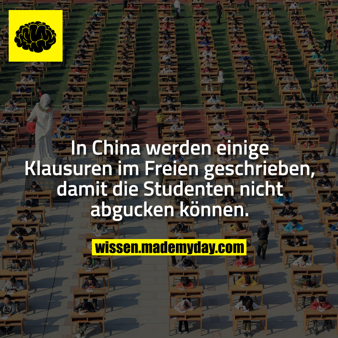 In China werden einige Klausuren im Freien geschrieben, damit die Studenten nicht abgucken können.