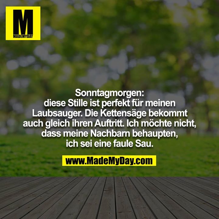 Sonntagmorgen:<br />
diese Stille ist perfekt für meinen Laubsauger. Die Kettensäge bekommt auch gleich ihren Auftritt. Ich möchte nicht, dass meine Nachbarn behaupten, ich sei eine faule Sau.