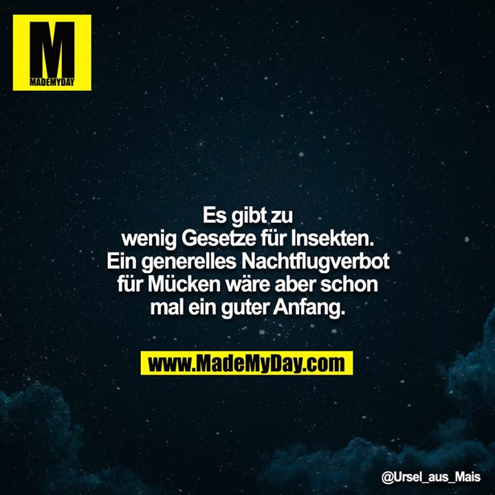 Es gibt zu wenig Gesetze für Insekten. Ein generelles Nachtflugverbot für Mücken wäre aber schon mal ein guter Anfang.