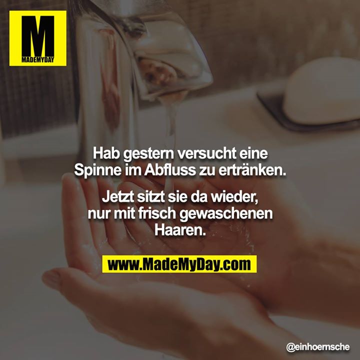 Hab gestern versucht eine Spinne im Abfluss zu ertränken.<br />
Jetzt sitzt sie da wieder, nur mit frisch gewaschenen Haaren.