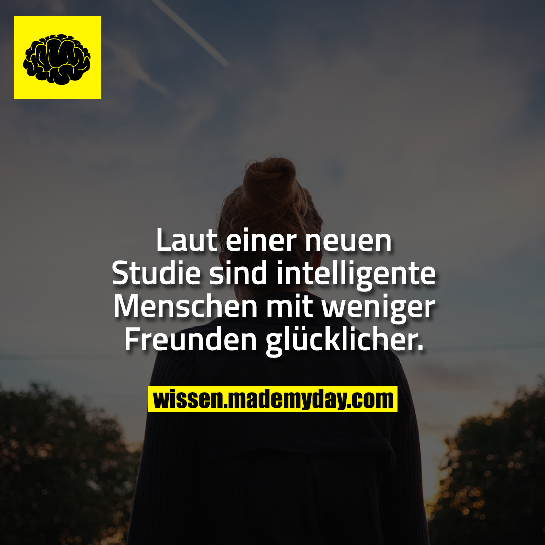 Laut einer neuen Studie sind intelligente Menschen mit weniger Freunden glücklicher.