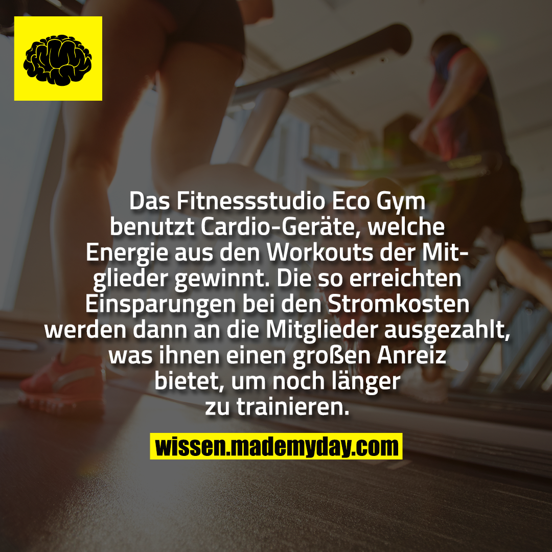 Das Fitnessstudio Eco Gym benutzt Cardio-Geräte, welche Energie aus den Workouts der Mitglieder gewinnt. Die so erreichten Einsparungen bei den Stromkosten werden dann an die Mitglieder ausgezahlt, was ihnen einen großen Anreiz bietet, um noch länger zu trainieren.