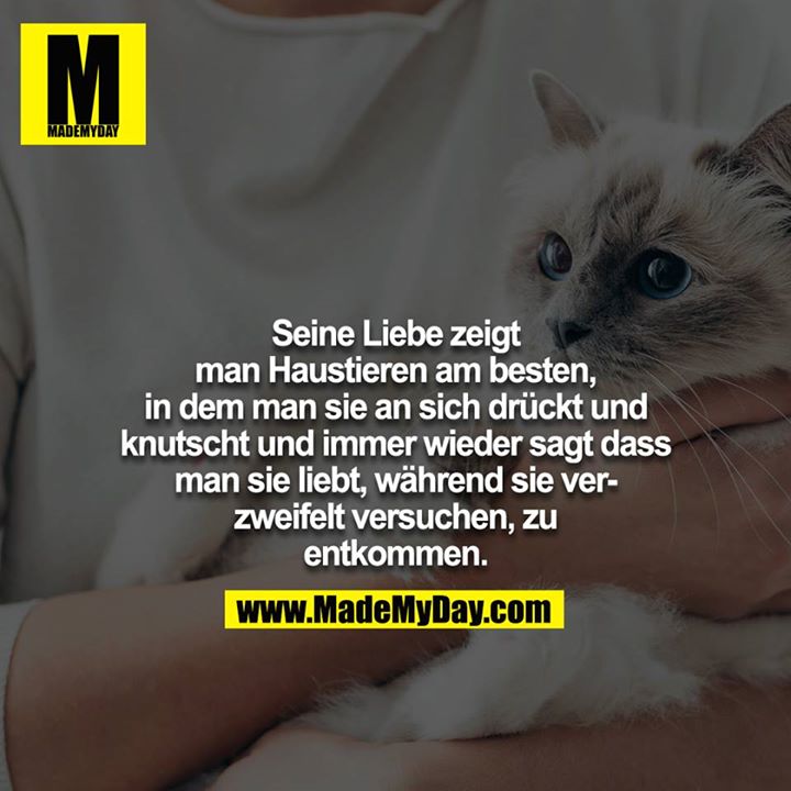 Seine Liebe zeigt man Haustieren am besten, in dem man sie an sich drückt und knutscht und immer wieder sagt dass man sie liebt, während sie verzweifelt versuchen, zu entkommen.