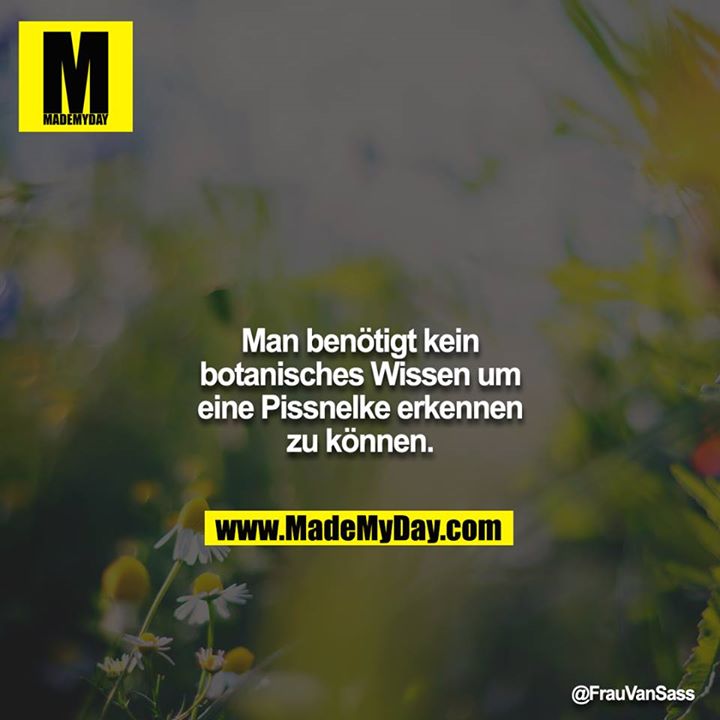 Man benötigt kein botanisches Wissen um eine Pissnelke erkennen zu können.