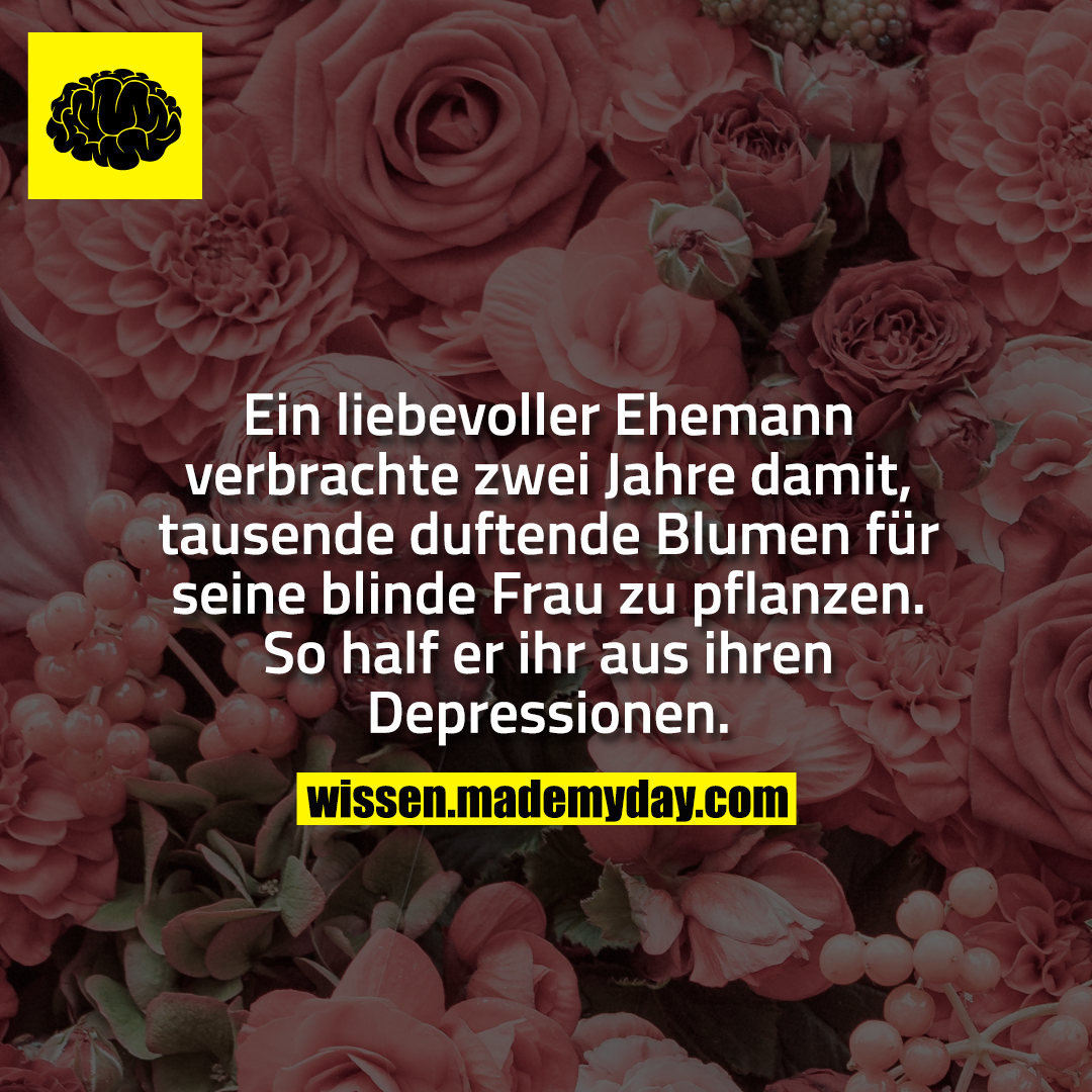 Ein liebevoller Ehemann verbrachte zwei Jahre damit, tausende duftende Blumen für seine blinde Frau zu pflanzen. So half er ihr aus ihren Depressionen.