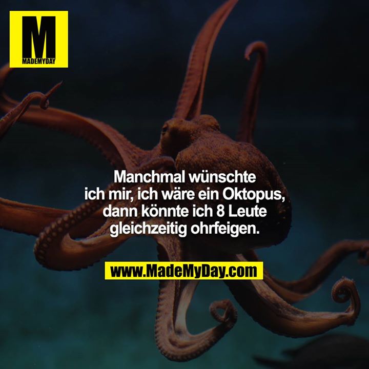 Manchmal wünschte ich mir, ich wäre ein Oktopus, dann könnte ich 8 Leute gleichzeitig ohrfeigen.