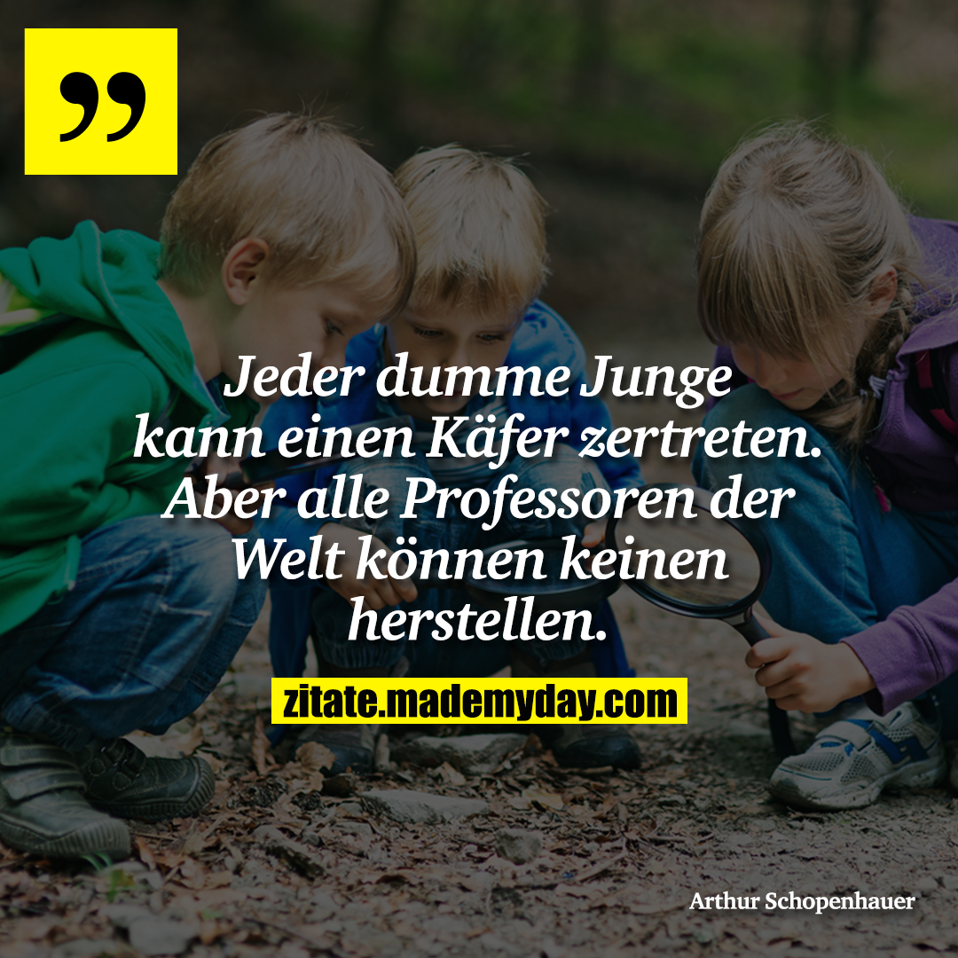 Jeder dumme Junge kann einen Käfer zertreten. Aber alle Professoren der Welt können keinen herstellen.