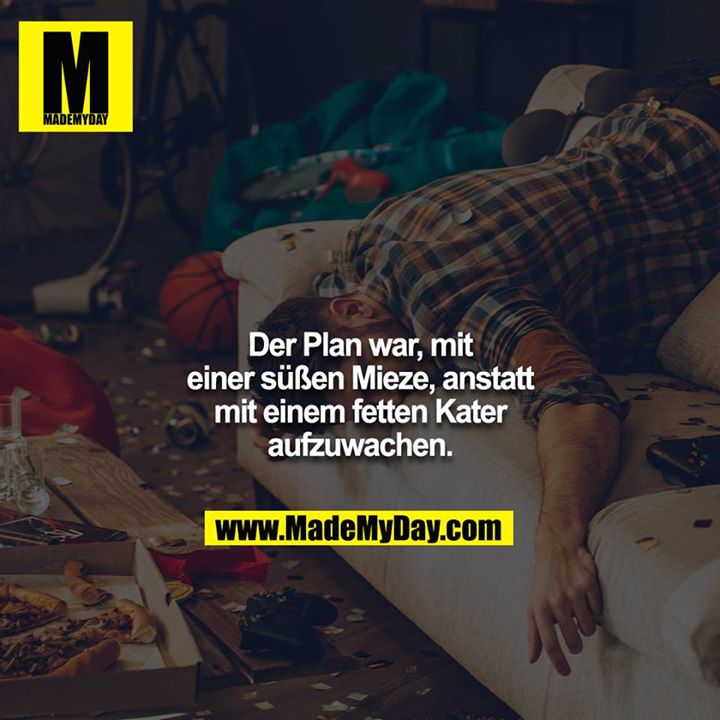 Der Plan war, mit einer süßen Mieze, anstatt mit einem fetten Kater aufzuwachen.