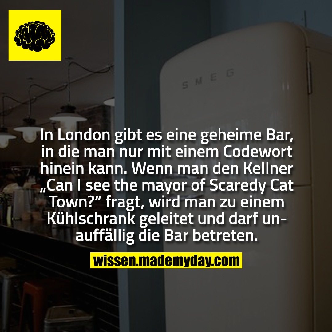 In London gibt es eine geheime Bar, in die man nur mit einem Codewort hinein kann. Wenn man den Kellner „Can I see the mayor of Scaredy Cat Town?“ fragt, wird man zu einem Kühlschrank geleitet und darf unauffällig die Bar betreten.